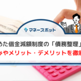 借金 減らす 制度