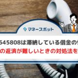 0120545808 ニッテレ債権